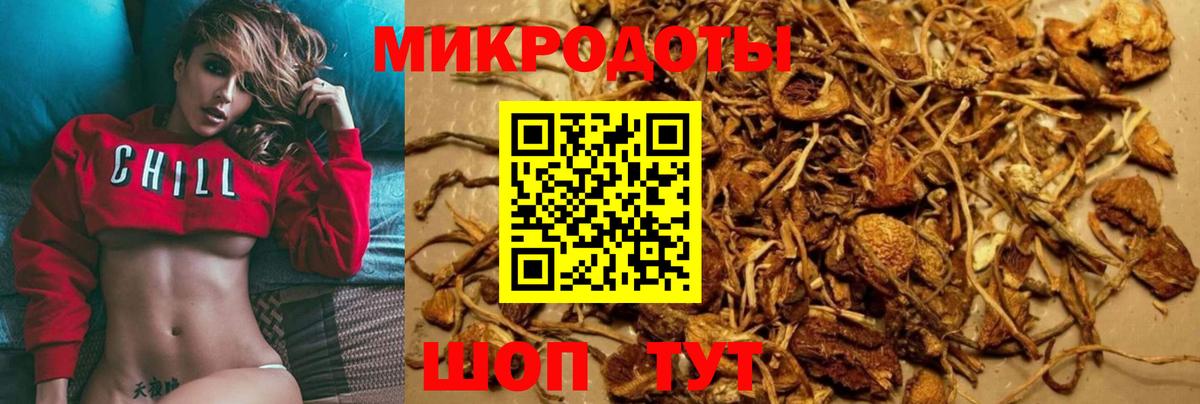 Галлюциногенные грибы GOLDEN TEACHER  Псилоцибиновые грибы Psilocybine cubensis  Екатеринбург  Вход с VPN 